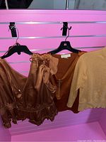 Three women's blouses hanging on black hangers on a pink rack, including a bronze satin sleeveless top with gathered waist and ruffled edge, a bronze satin blouse with a zipper front and 3/4 sleeves, and a light brown knit blouse with half sleeves.