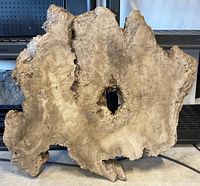 Front view of the natural slice of tree trunk showing the grain, hollow center, and textured bark edges.