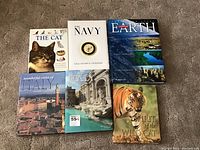 Photo of six coffee table books arranged on carpet showing titles and cover images.