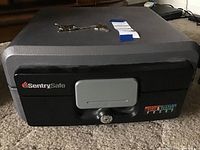 Closed view of the Sentry Safe showing front lock and fire & water proof label.