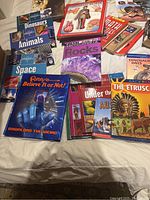 Multiple children's and educational books spread on a bed, featuring topics like dinosaurs, animals, space, rocks, Ripley's Believe It or Not, and history.