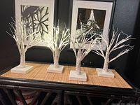 Four white decorative LED lighted trees on a flat surface with two framed black and white pictures on the black wall behind.