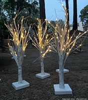 Four white decorative lighted trees outdoors at dusk showing warm white LEDs illuminated.