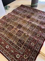 Full view of the area rug showing overall pattern and colors, placed on a floor surface.