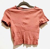 Front view of dusty rose fitted crop top with ribbed knit fabric and crew neckline on black hanger against white background.