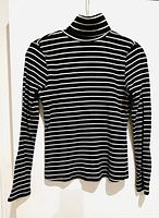 Front view of the black and white striped turtleneck sweater hanging against a white background.