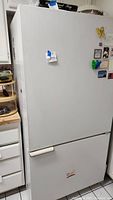 Full front view of the Amana refrigerator with visible freezer drawer and lack of top pull handle on refrigerator door.