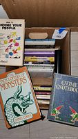 Photo of the box showing top view of multiple books including 'How to Choose Your People' and 'The Encyclopedia of Monsters'