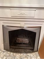 Full frontal photo of fireplace showing the curved silver metal framed screen with mesh and iron grate inside holding birch logs.