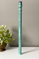 Tall, cylindrical metal coin bank standing vertically with blue-green body and purple top against a plain wall, plant beside for scale.