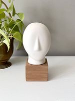 Front view of white head sculpture on wooden block, with green plant in background