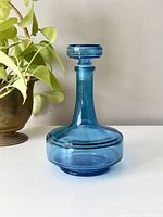 Front view of the blue glass decanter showing the shape and color with plant in background.
