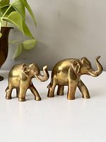 Front view of two brass elephant figurines side by side on white surface with plant in background
