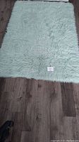 Mint green shag area rug laid flat on dark wood floor showing texture and color.