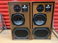 Front view of both speakers showing driver configuration and condition