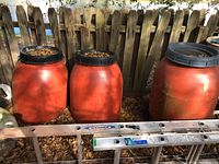 Three orange-red cylindrical plastic water tanks with black screw-on lids, two tanks filled with leaves, outdoors next to a wooden fence.