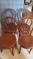 Four bentwood wooden chairs grouped closely together showing curved backs and round wooden seats with visible wear.