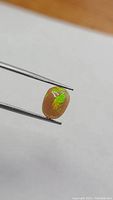 Close-up photo of the chocolate Ethiopian black opal held by tweezers showing green play of color.