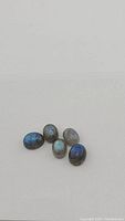 Photo showing five oval cabochon natural labradorite stones with visible blue and golden flashes on light background.