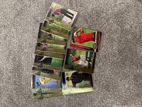 11 Tiger Woods trading cards laid out in a partial fan shape on a carpeted surface. Cards show Tiger Woods in golf clothing, various poses, and color backgrounds with foil or gold highlights.