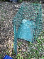 Green metal dog cage placed on dirt and leaves outdoors, door open, showing cage interior and base tray.