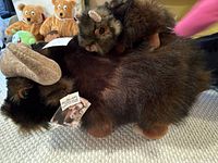Photo shows a large dark brown musk ox stuffed animal with thick fur and large light-colored horns, a smaller musk ox plush on top of it, and two camel stuffed animals in the background.