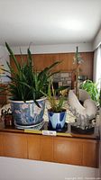 Wide view of three plants in decorative pots on a wooden ledge with a fireplace in the background.