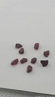 Ten natural garnet crystals on a white background, showing individual crystal shapes and deep reddish color.