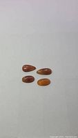 Four natural amber cabochons of varying shapes and sizes displayed on a white background, showcasing their butterscotch color and smooth polished finish.