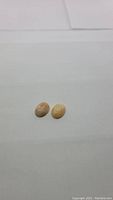 Pair of oval natural caramel opal gemstones on white background seen from above, smooth polished surface, warm beige to caramel color with subtle internal patterns.