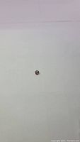 Photo of a small round cut champagne zircon gemstone on a plain background