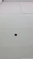 Close-up image of a small oval cut deep cherry red garnet gemstone placed on white background showing color and shape