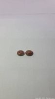 Two small oval cabochon cut stones placed side by side on a white background, showing their smooth polished surface and slight color variations in brown tones.