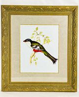 Full view of the framed bird print in ornate gold frame showcasing the complete artwork and frame details.