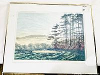 Framed print showing entire artwork and matting with landscape scene of trees, hill, and meadow in soft colors.