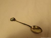 Full view of the entire silver spoon with enamel crest on handle
