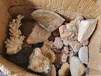 Full view of assortment of rocks, fossils, and crystals in cardboard box.