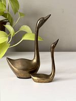 Front view of two vintage brass swan figurines of different sizes set on a surface beside a green plant.