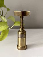 Front view of vintage brass corkscrew standing upright on a white surface with green plant in background.