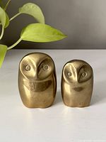 Front view showing pair of vintage brass owl figurines of differing sizes beside a green plant leaf
