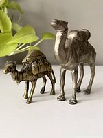 Two brass camel figurines of different sizes displayed side by side with a plant background.