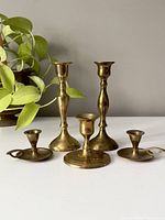 Front view of five brass candlestick holders with a leafy plant background