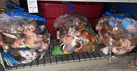 Three large clear plastic bags filled with assorted Beanie Babies plush toys on a metal shelf. The bags are sealed with blue ties and marked with 'BAG H' and 'BAG G'.