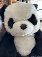 Close-up photo showing the panda's face with black and white fur and shiny black leather-like nose.