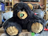 Full frontal image of large black plush teddy bear sitting on a cardboard box, showing its wide paws and tan muzzle.