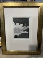 Photo of framed black and white ladybug photograph showing flower details with gold-tone frame
