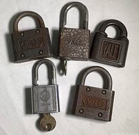 Five vintage Yale padlocks arranged on white background showing size variation and condition.