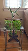 Full view of metal mirrored table with artificial trailing succulent on top and round wooden occasional table with live Aloe Vera plant on it next to a couch.