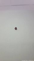 Single loose garnet gemstone on white background, shown from top-down view.