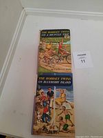 Photo of two Bobsey Twins paperback books stacked, showing covers.